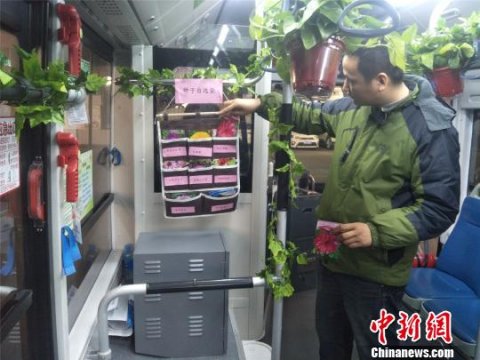 郑州公交车长给乘客送植物种子 倡导绿色出行