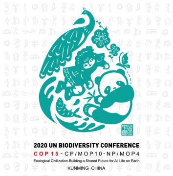 2020年联合国生物多样性大会会标发布